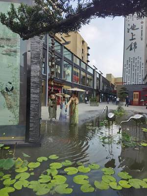 探訪成都荷花池 傳統(tǒng)貿(mào)易市場向現(xiàn)代消費商圈轉(zhuǎn)型|了不起的我們