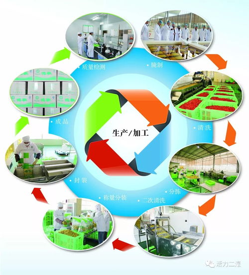 組織會員單位參加二連浩特邊民互市貿(mào)易區(qū)商品展銷會，推動商品零售貿(mào)易發(fā)展